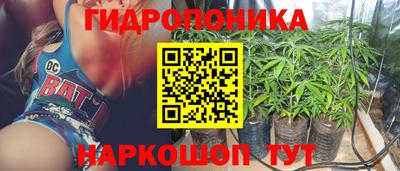 бошки Боровичи