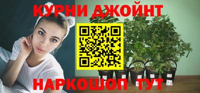 прущие грибы Бердск