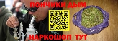 прущие грибы Бердск