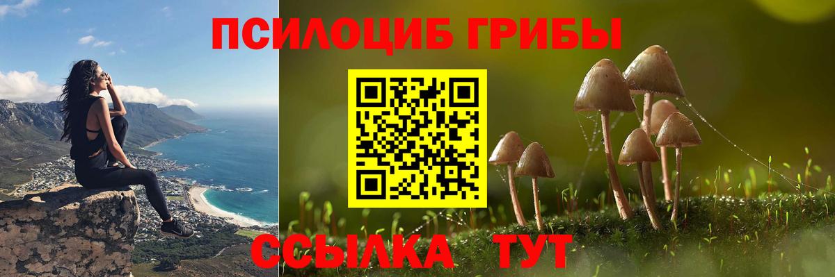 Псилоцибиновые грибы MAGIC MUSHROOMS  Вход с VPN  Горно-Алтайск 